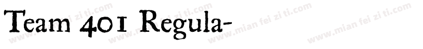 Team 401 Regula字体转换